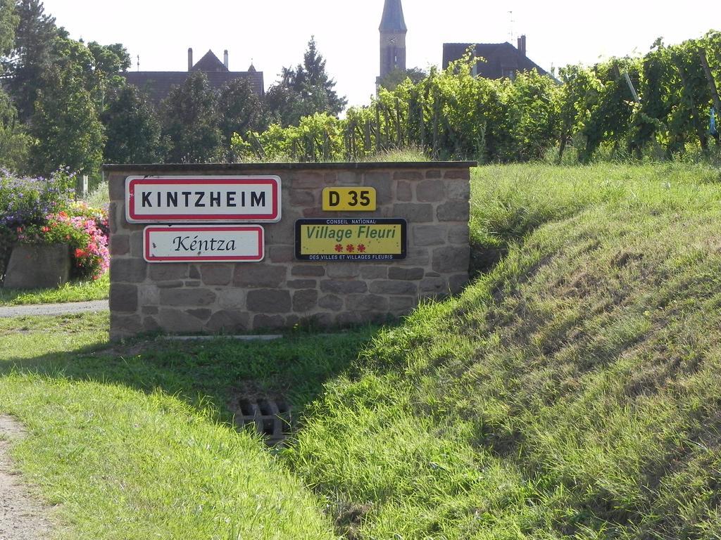 Le Nid De Cigognes Kintzheim Villa Стая снимка